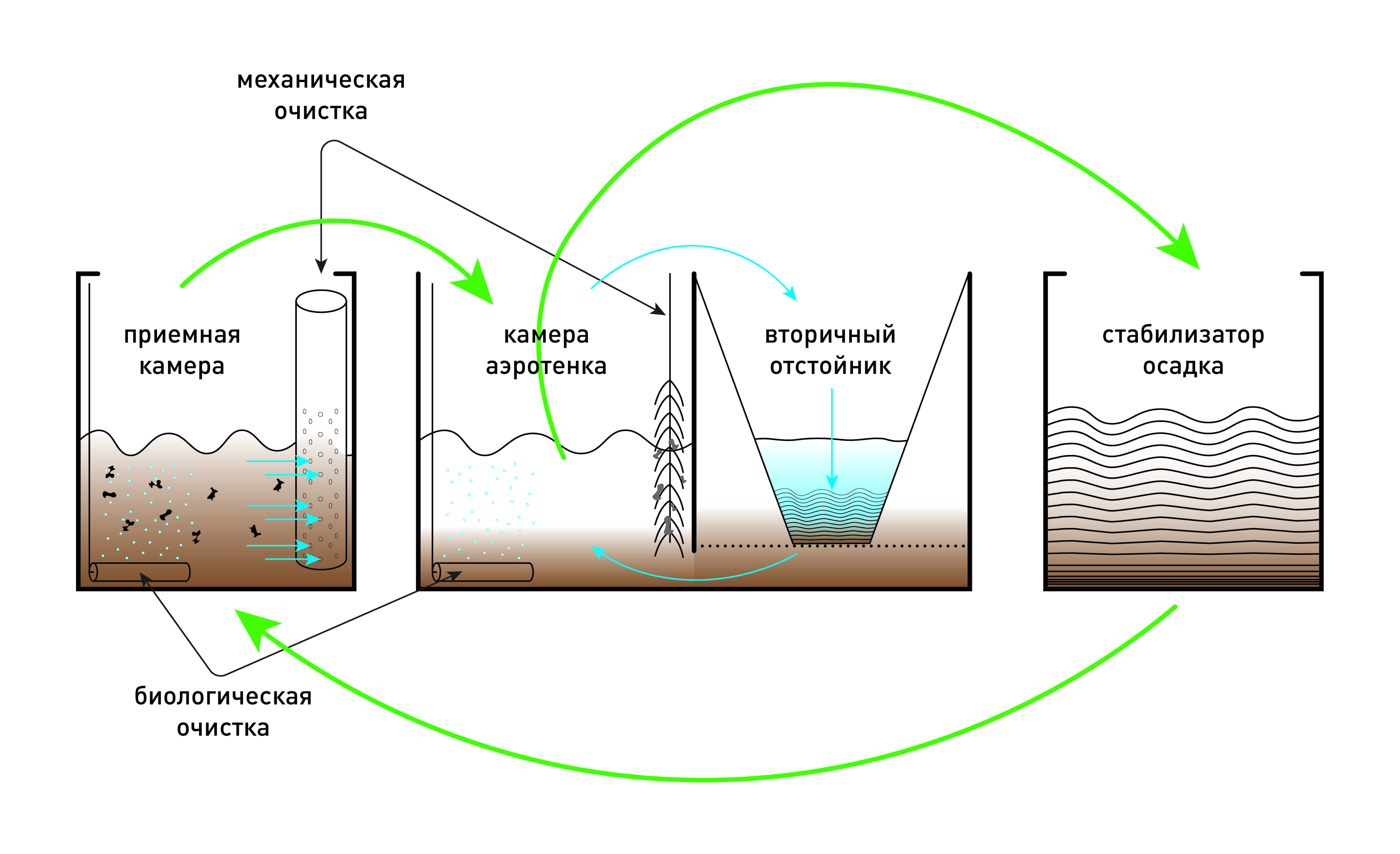 схема септика