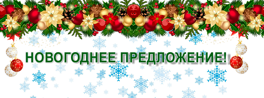 Новогоднее предложение! Действует до 28 февраля!