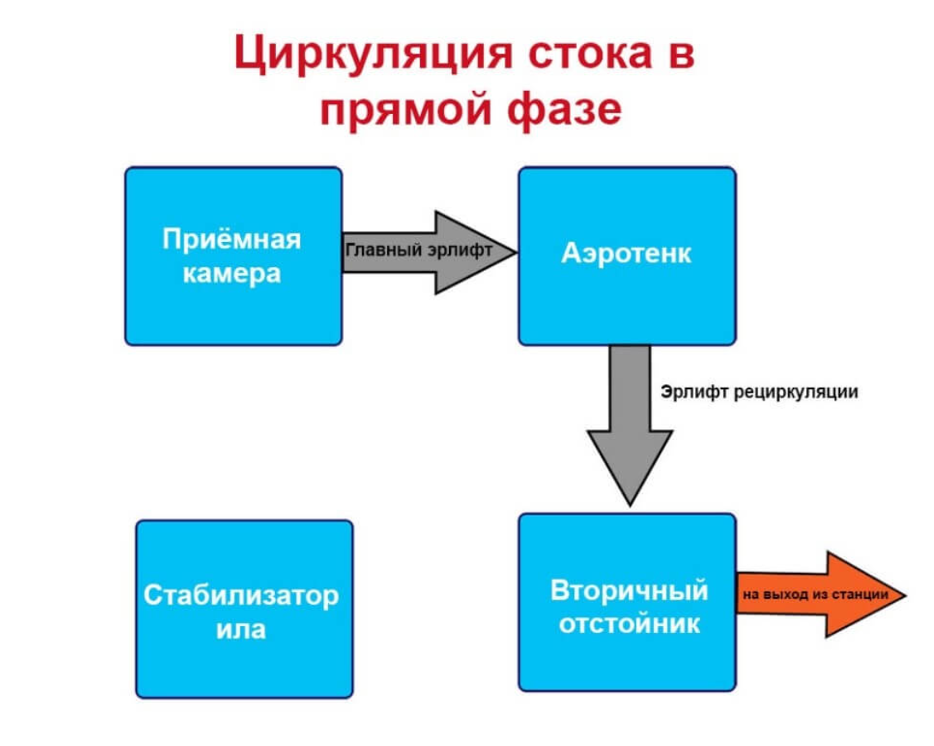 cirkulyaciya-pryamaya-faza.png